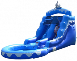 Dolphin waterslide