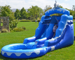 dolphin01 1648809631 Dolphin waterslide