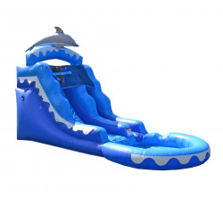 dolphin 1648809632 Dolphin waterslide
