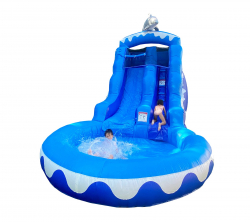 dolphins2 364524768 Dolphin waterslide