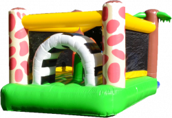 jungle water slide 4 1636559248 Jungle Waterslide
