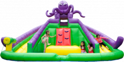octopus water slide 2 Octopus waterslide