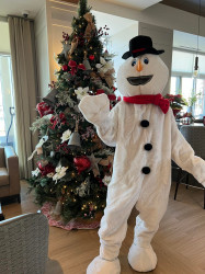 snowman 1651086272 Snowman