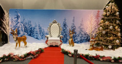 Wonderland White Throne